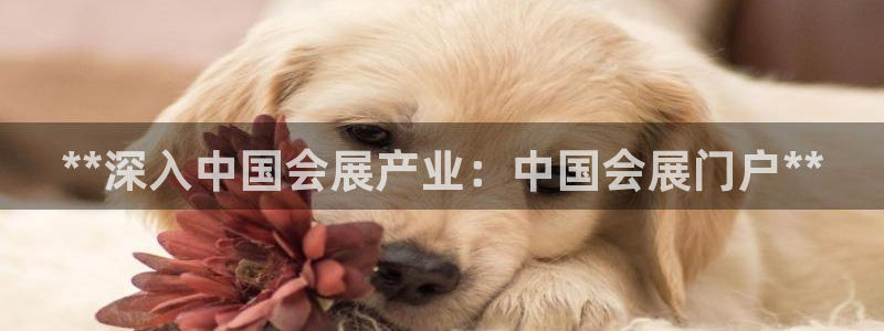 果博注册客服电话是多少：**深入中国会展产业：中国会展门户**
