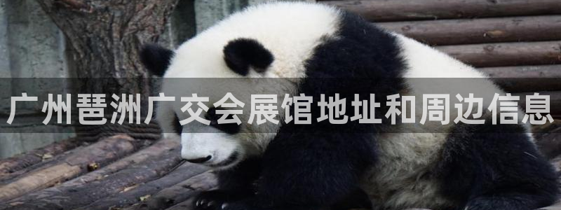 果博代理网：广州琶洲广交会展馆地址和周边信息