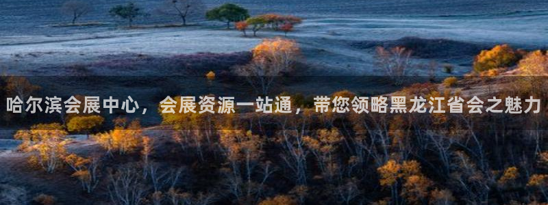 果博平台怎么下载?：哈尔滨会展中心，会展资源一站通，带您领略黑龙江省会之魅力
