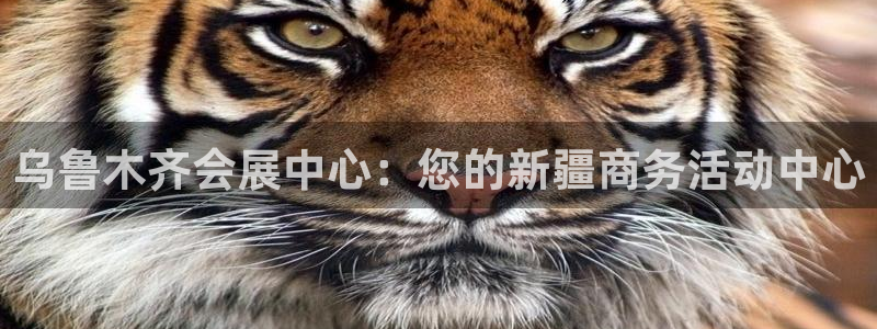 果博公司上分客服：乌鲁木齐会展中心：您的新疆商务活动中心