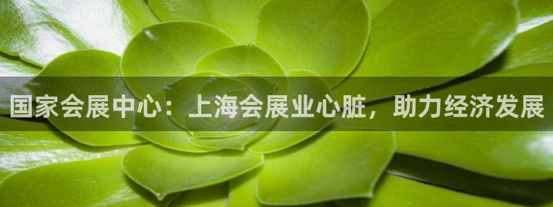 电脑怎么下载果考网：国家会展中心：上海会展业心脏，助力经济发展