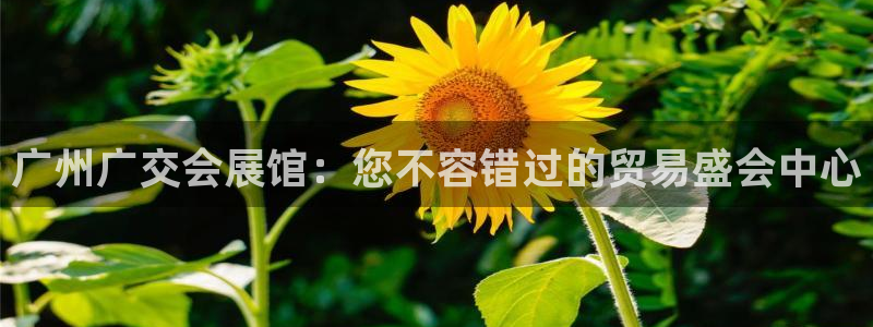 果博网站二维码：广州广交会展馆：您不容错过的贸易盛会中心
