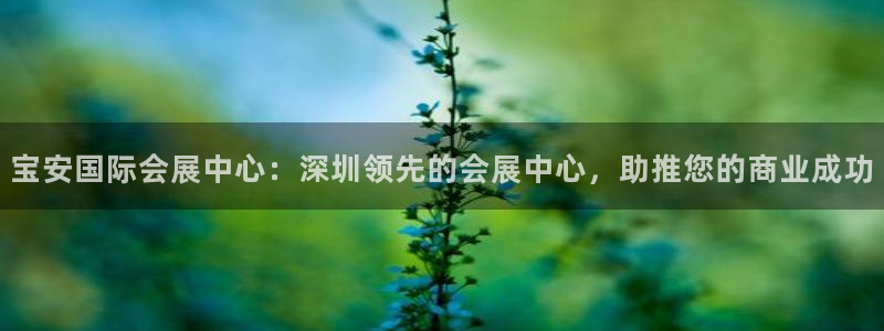 苹果手机能下载果博吗：宝安国际会展中心：深圳领先的会展中心，助推您的商业成功