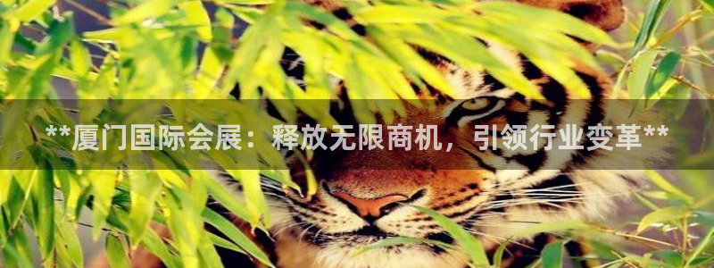果博公司会员账号开户：**厦门国际会展：释放无限商机，引领行业变革**