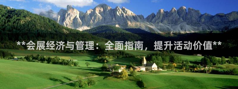 苹果电脑怎么下载伯索：**会展经济与管理：全面指南，提升活动价值**