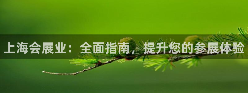果博平台客服：上海会展业：全面指南，提升您的参展体验