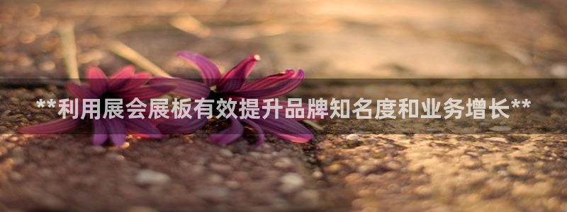 果博平台真实吗安全吗可靠吗：**利用展会展板有效提升品牌知名度和业务增长**