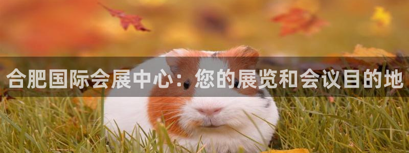 手机怎样下载果博：合肥国际会展中心：您的展览和会议目的地