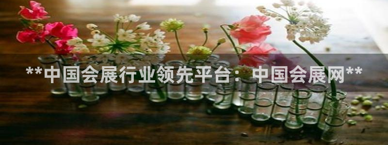 果博账号注册：**中国会展行业领先平台：中国会展网**