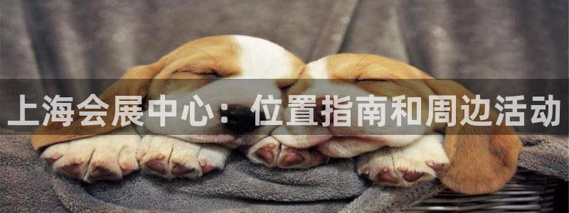 果博集团：上海会展中心：位置指南和周边活动
