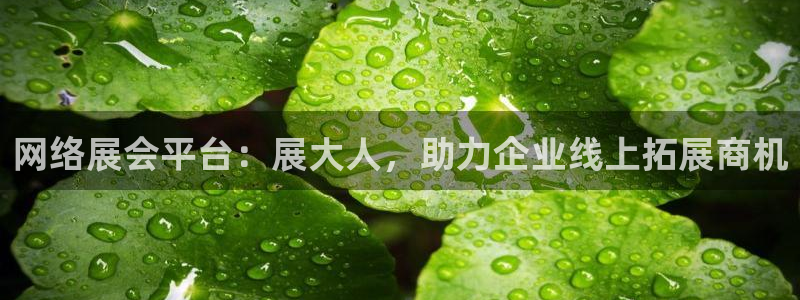 果博注册：网络展会平台：展大人，助力企业线上拓展商机