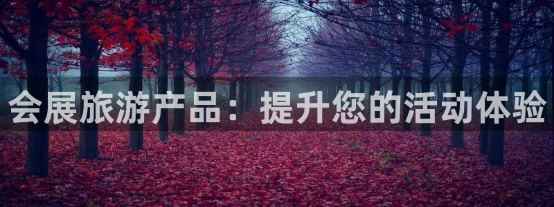 果博代理网