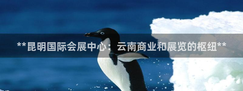 果博代理：**昆明国际会展中心：云南商业