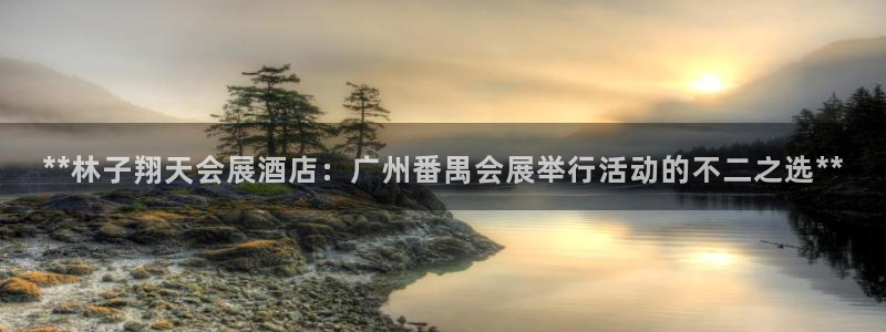 果博官网客服电话号码是多少：**林子翔天会展酒店：广州番禺会展举行活动的不二之选**