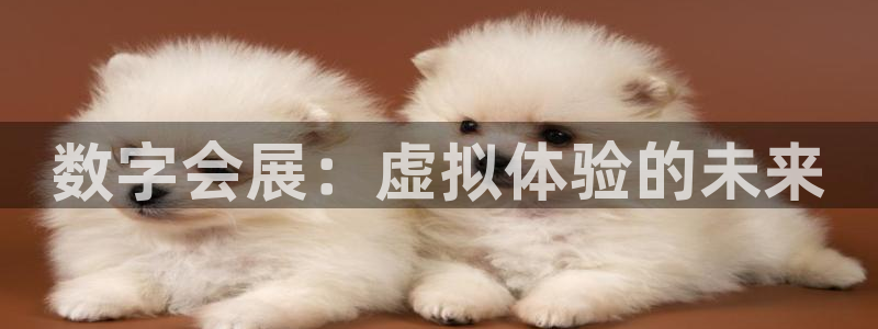 果博账号注册：数字会展：虚拟体验的未来