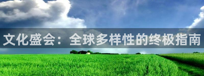 果博公司会员注册：文化盛会：全球多样性的终极指南