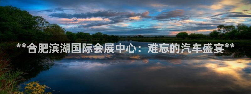 果博客服电话哪里找啊：**合肥滨湖国际会展中心：难忘的汽车盛宴**