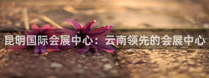 苹果电脑怎么下载伯索：昆明国际会展中心：云南领先的会展中心