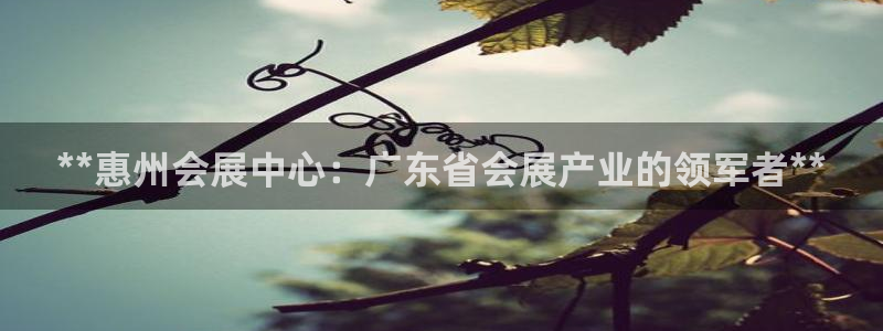 果博平台真实吗安全吗：**惠州会展中心：广东省会展产业的领军者**