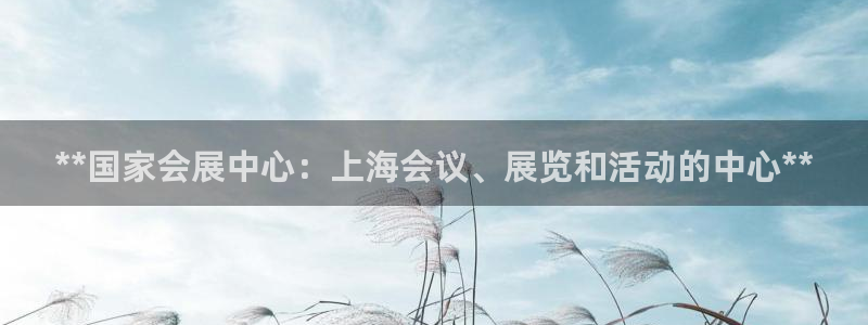 果博平台电话：**国家会展中心：上海会议、展览和活动的中心**