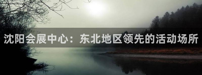 果博怎么注册账号：沈阳会展中心：东北地区领先的活动场所