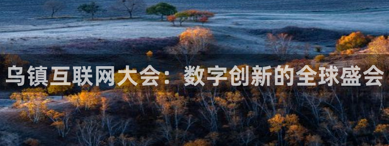 果博官网客服电话号码：乌镇互联网大会：数