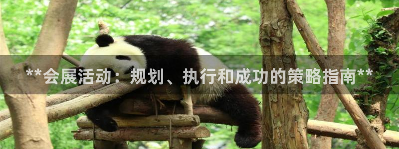 果博上分电话：**会展活动：规划、执行和成功的策略指南**