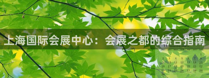 果博代理：上海国际会展中心：会展之都的综合指南