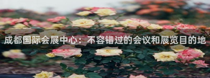 果博注册会员多少钱：成都国际会展中心：不容错过的会议和展览目的地