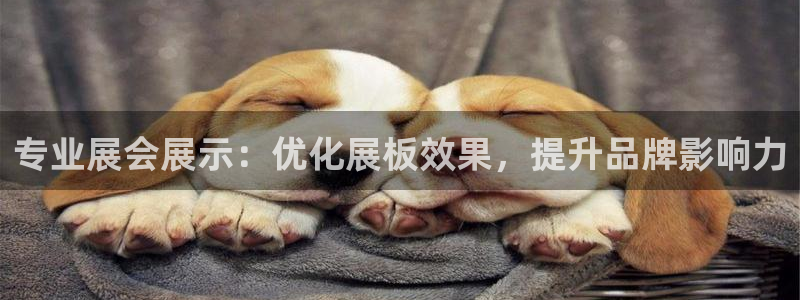 果博平台客服：专业展会展示：优化展板效果，提升品牌影响力