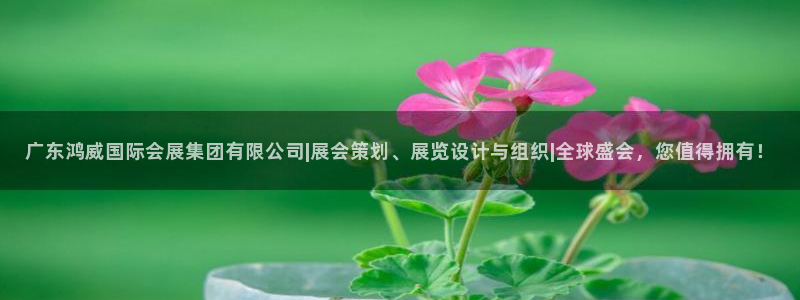 果博公司怎么开户：广东鸿威国际会展集团有限公司|展会策划、展览设计与组织|全球盛会，您值得拥有！
