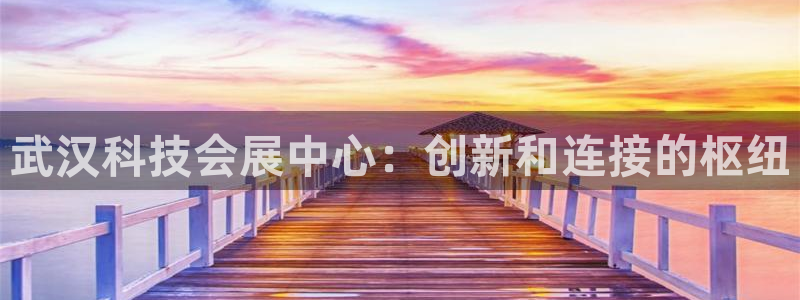 果博平台电话：武汉科技会展中心：创新和连