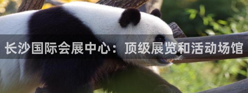 果博上分电话：长沙国际会展中心：顶级展览和活动场馆