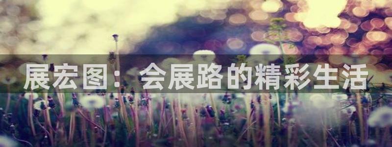 果博怎么注册账号：展宏图：会展路的精彩生活