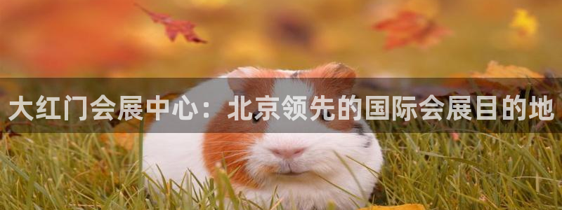 果博官网客服电话号码：大红门会展中心：北京领先的国际会展目的地