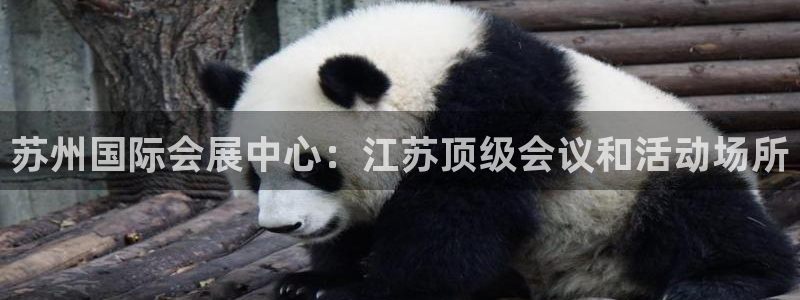 果搏东方客服：苏州国际会展中心：江苏顶级会议和活动场所
