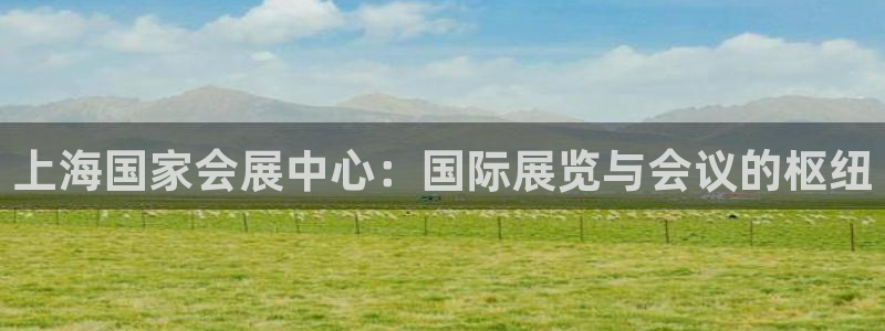 果博平台真实吗安全吗是真的吗：上海国家会