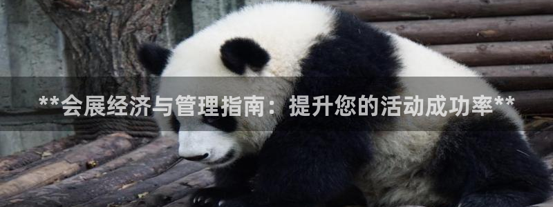 果博平台电话：**会展经济与管理指南：提升您的活动成功率**