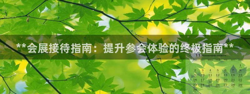 果博怎么注册账号：**会展接待指南：提升
