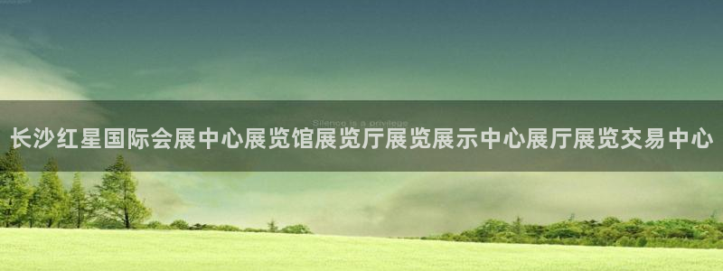 果博公司注册：长沙红星国际会展中心展览馆展览厅展览展示中心展厅展览交易中心