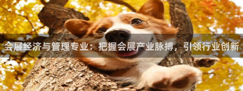 果博代理：会展经济与管理专业：把握会展产业脉搏，引领行业创新