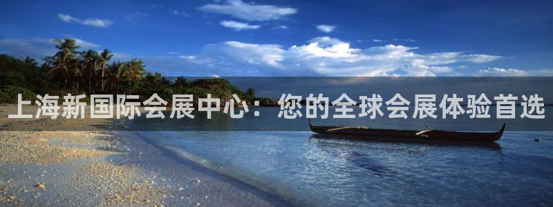 果博注册充值：上海新国际会展中心：您的全