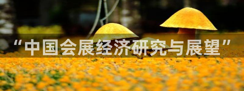 果博注册链接：“中国会展经济研究与展望”