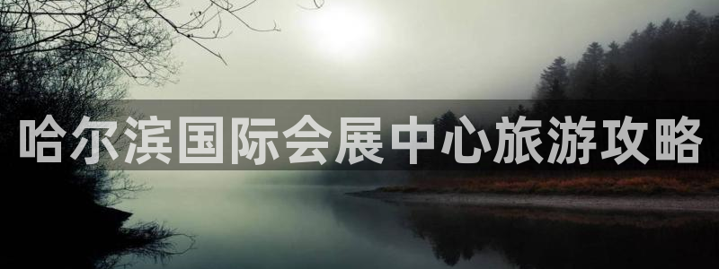 果博东官方网站怎么下载：哈尔滨国际会展中