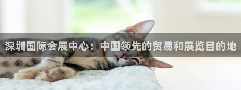 果博怎么注册账号和密码：深圳国际会展中心：中国领先的贸易和展览目的地