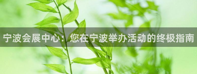 果博真人：宁波会展中心：您在宁波举办活动的终极指南