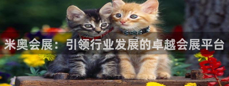 果博账号注册要钱吗：米奥会展：引领行业发展的卓越会展平台