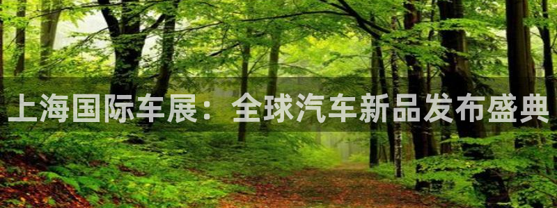 果博平台赖不赖：上海国际车展：全球汽车新品发布盛典