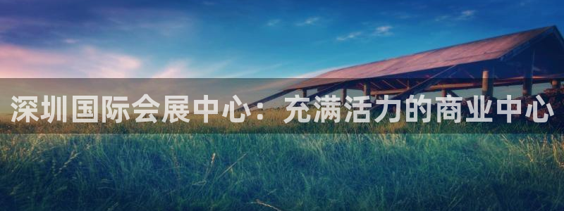 果博注册充值怎么充：深圳国际会展中心：充满活力的商业中心