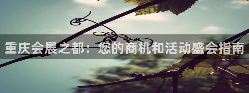 果博公司客服微信号是多少：重庆会展之都：您的商机和活动盛会指南